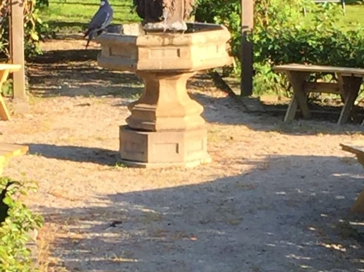 مبيت وإفطار Vita Huset På österlen