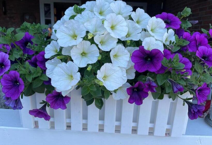 Friesen Lodge Apartments