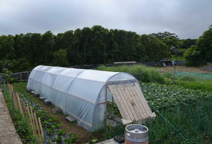 בית מלון כפרי Adega Mendes