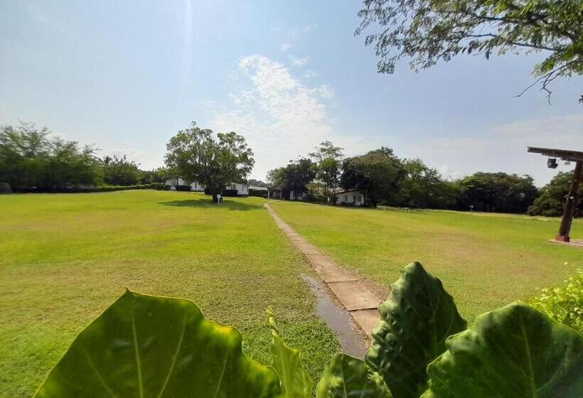 فندق Campestre Cenvaturs