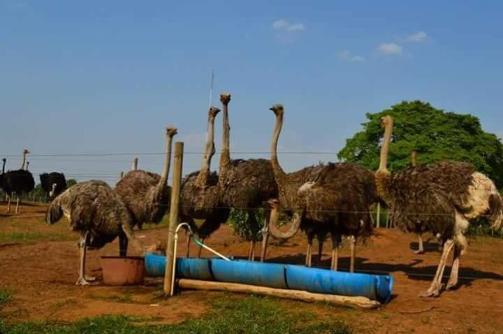 Отель Campestre Luna Roja