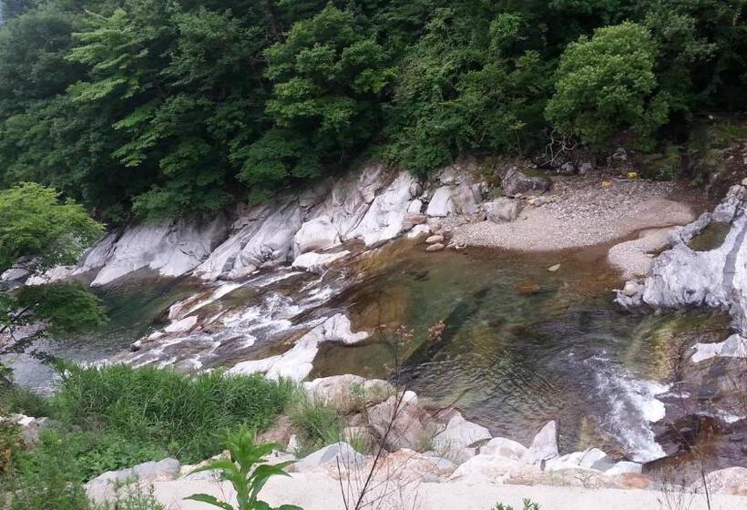 Отель Green Valley