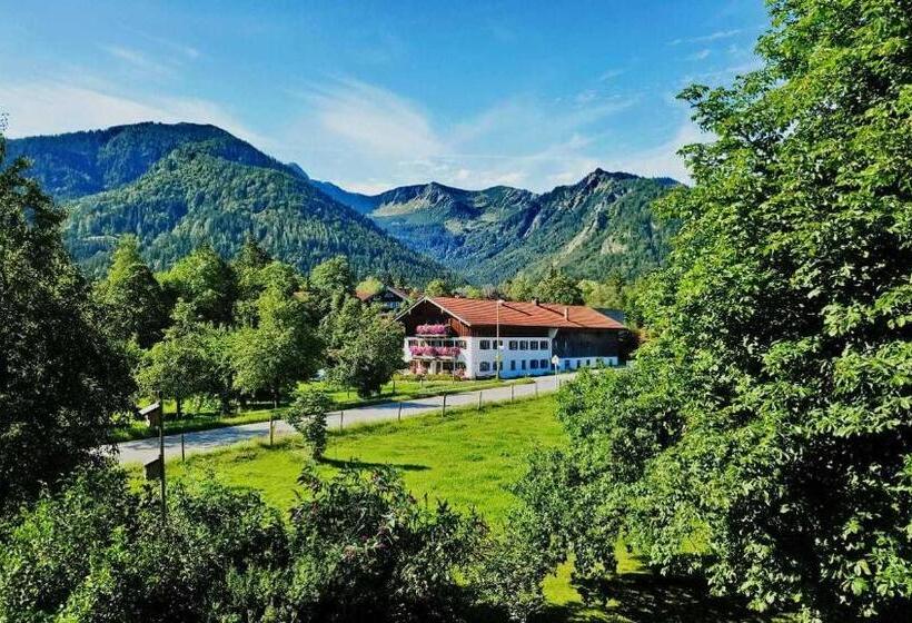 Отель Haus Bamberger