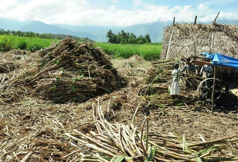 酒店 Kadampil Bliss