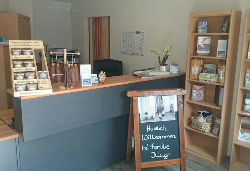 酒店 Landgasthof Und Pension Zum Löwen