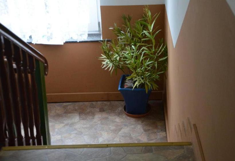 Отель Lekoma Pension