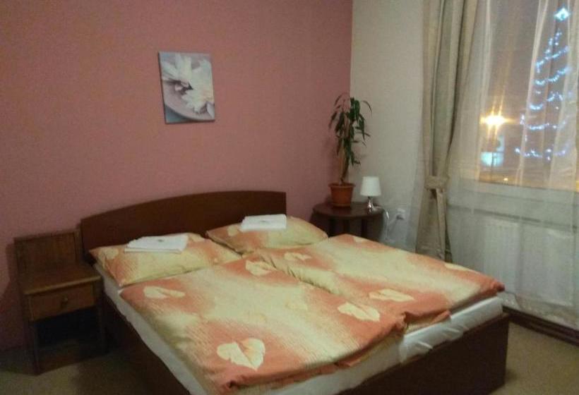 Отель Lidový Dům