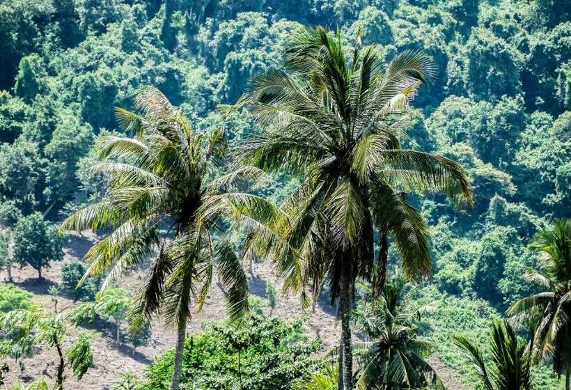 בית מלון כפרי Mango Lodge