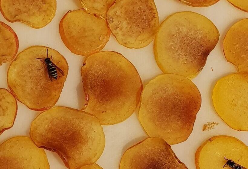 בית מלון כפרי Namyangju Bukhangang Dolcecasa