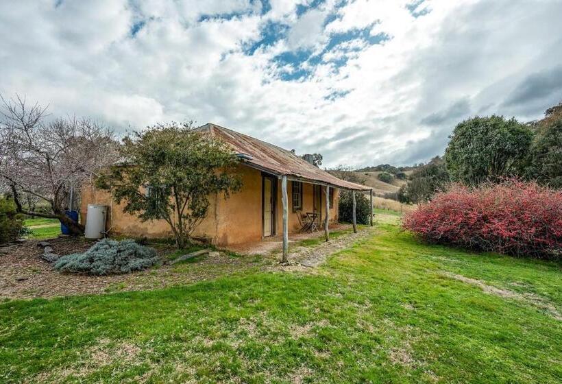 Отель Experience Country Mudgee At Lone Pine Farmhouse