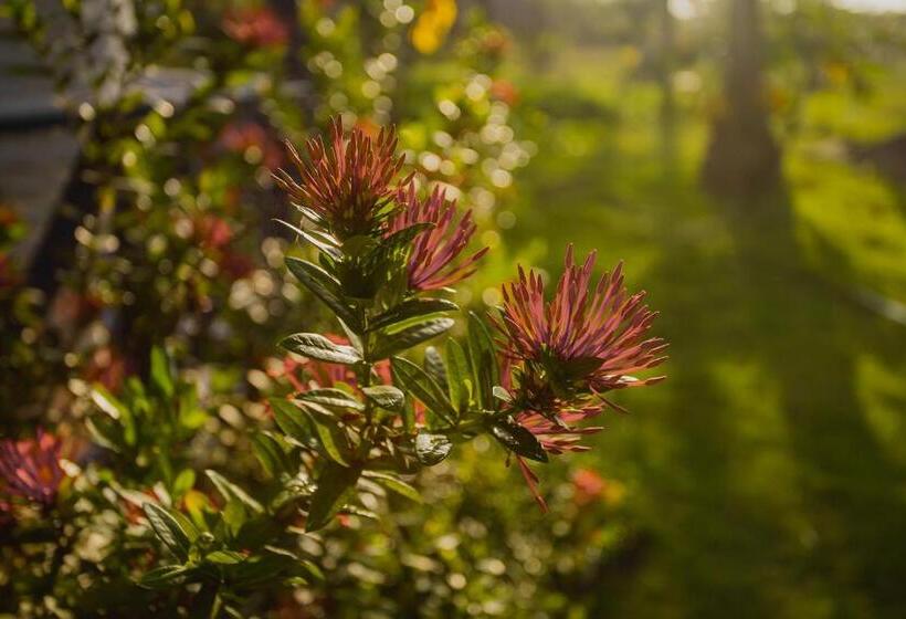 هتل Santa María De Los Vientos