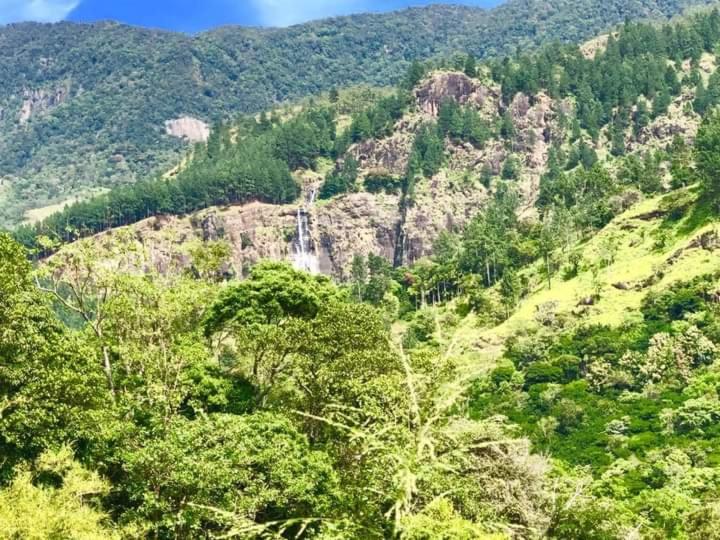 Отель Sennya Resorts