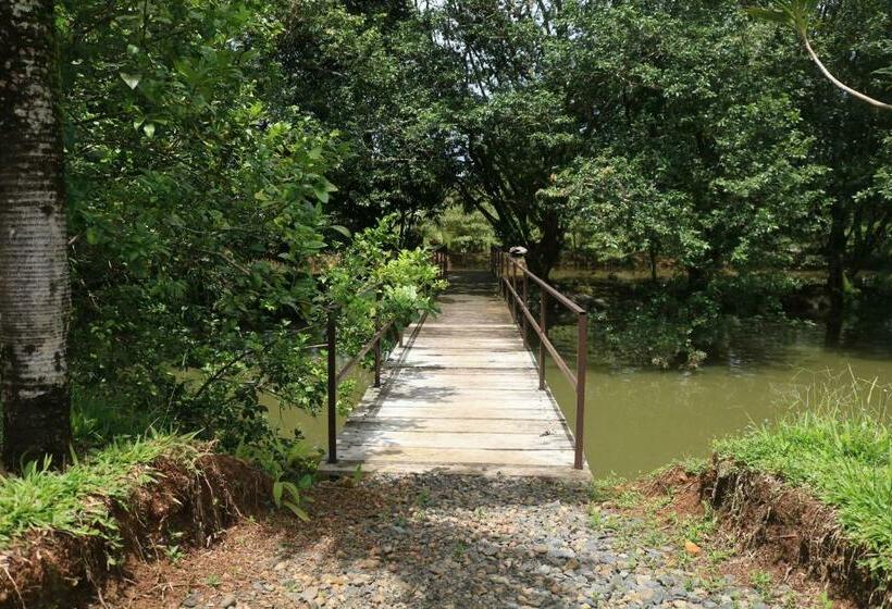 酒店 Sueñoreal Rioceleste