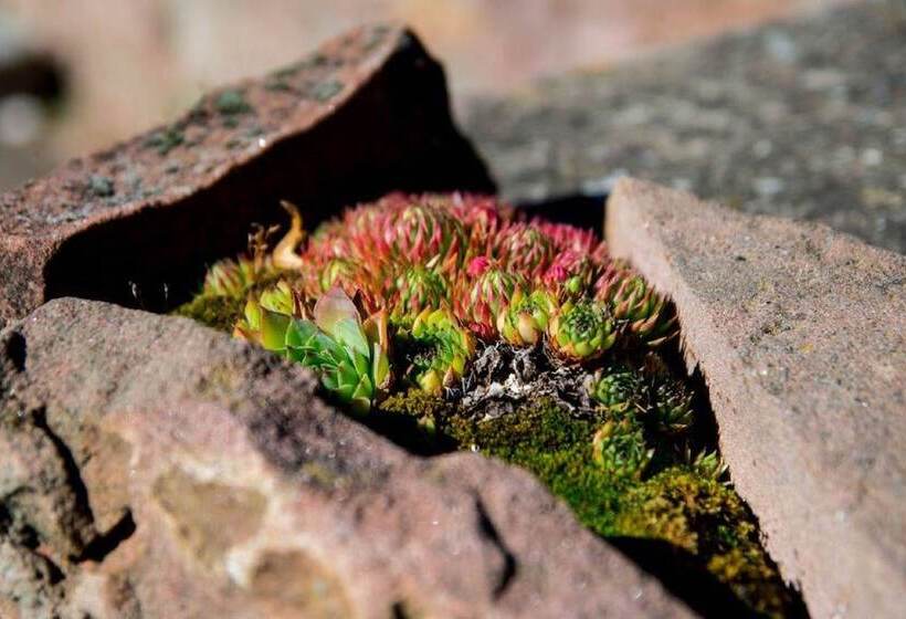 호텔 Villa Croatia & Restaurant Adria