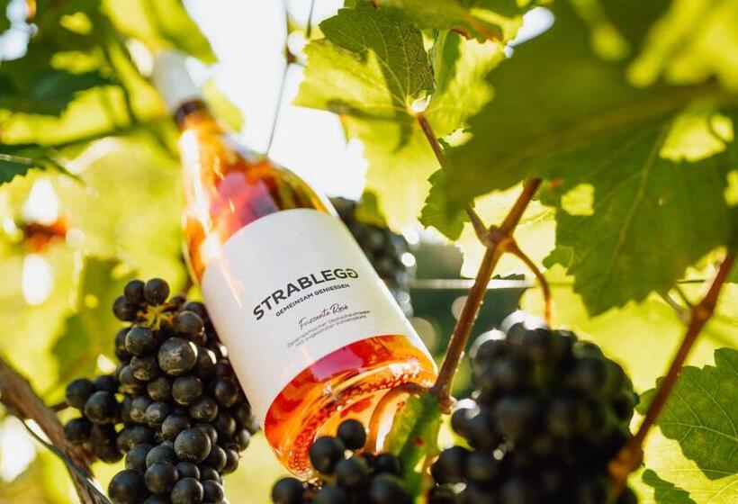 בית מלון כפרי Winzerhof Strablegg