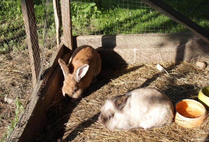 בית מלון כפרי Winzerhof Strablegg