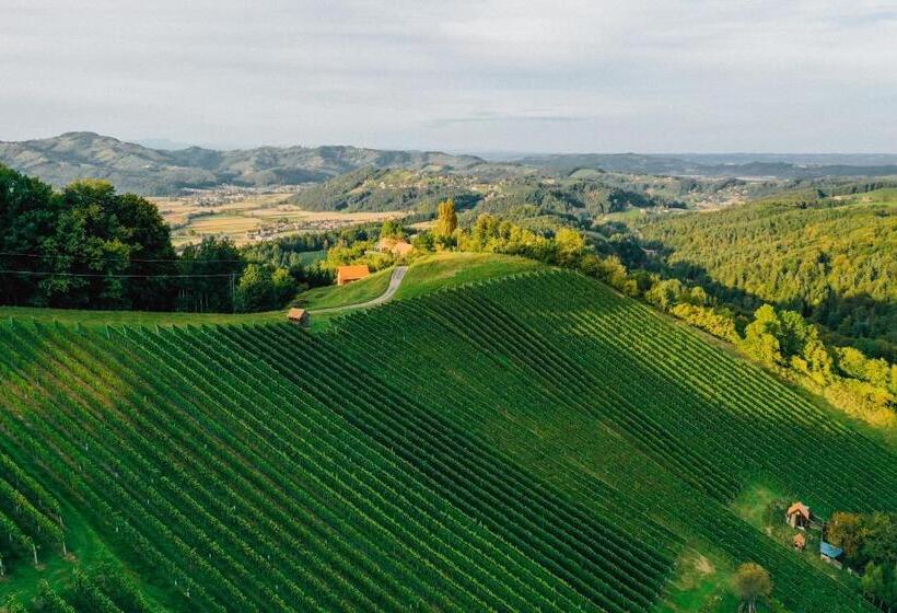 בית מלון כפרי Winzerhof Strablegg