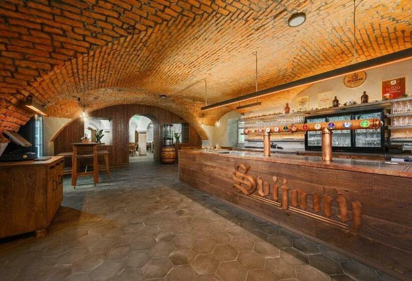 Отель Zámek Svijany