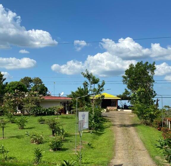 La Piña, Rio Celeste