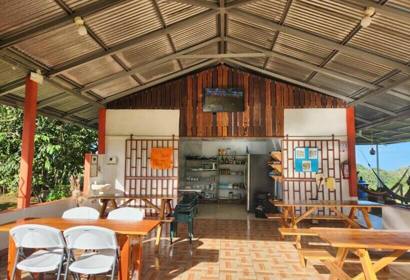 La Piña, Rio Celeste