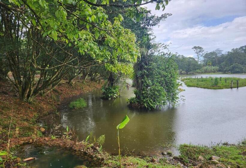 La Piña, Rio Celeste