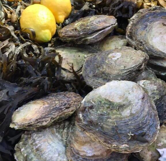 بنسيون Bottna Inn