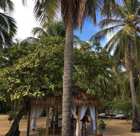 פנסיון Casa Das Rendas