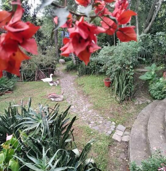 פנסיון Casa Del Aguacate Cumbaya   Tumbaco