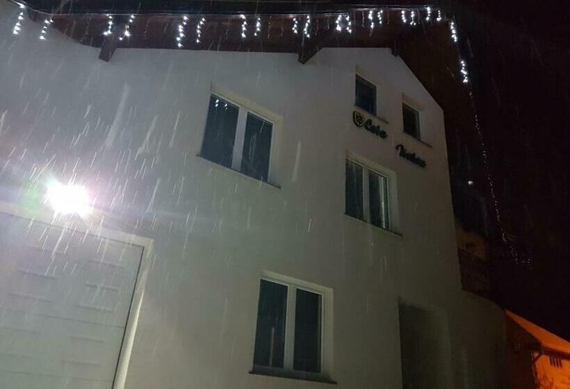 Пансион Casa Ivascu Moisei