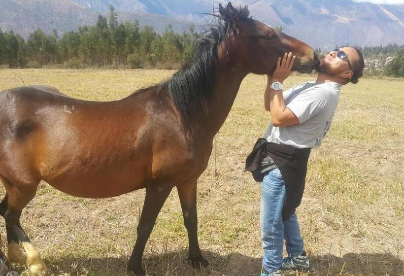 펜션 Casona Mollepata