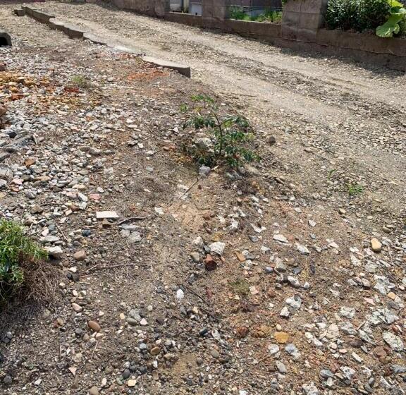 פנסיון Cozy Penguin House Bibai