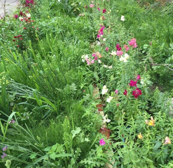 بنسيون Cozy Penguin House Bibai