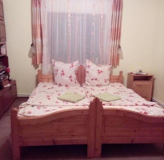 ペンション Csergő Ildikó Vendégház