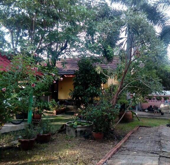 膳宿费 Daddy S Homestay