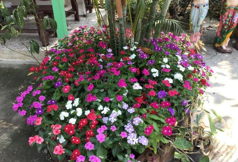 膳宿费 Daddy S Homestay