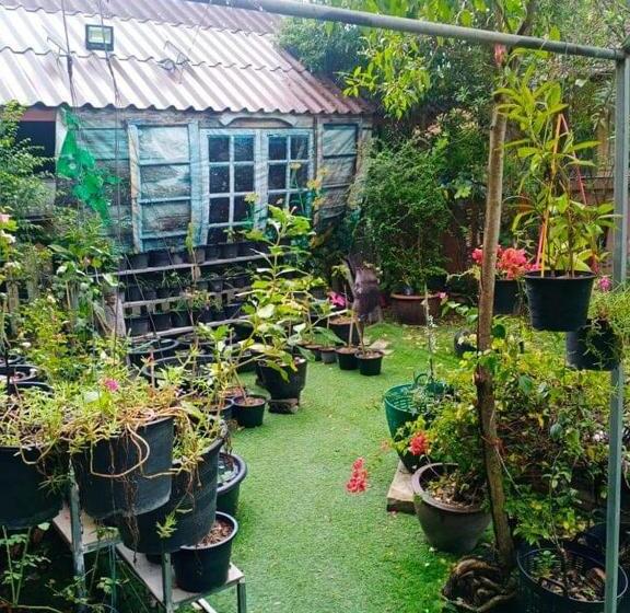 膳宿费 Daddy S Homestay