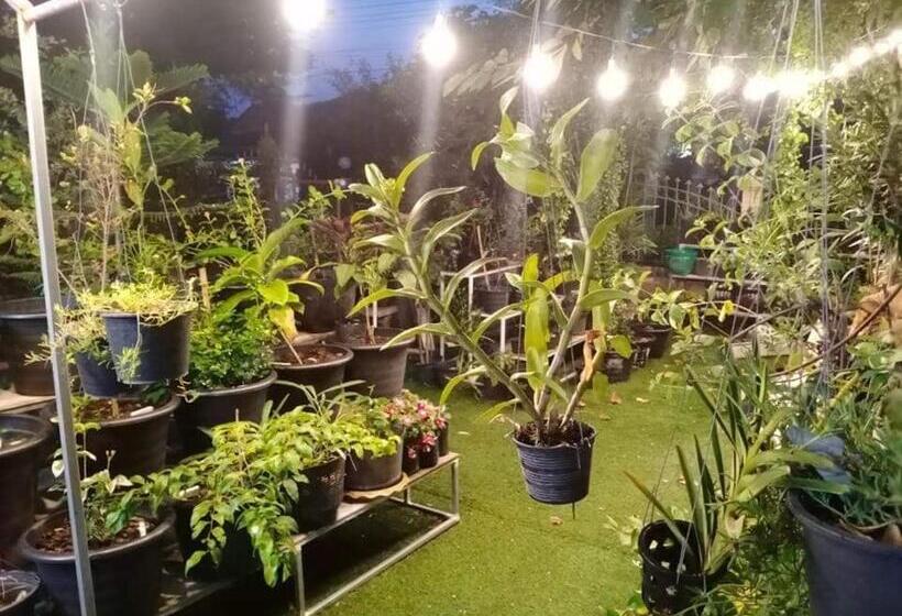 膳宿费 Daddy S Homestay