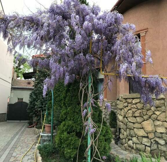 پانسیون Guest House Zhanna