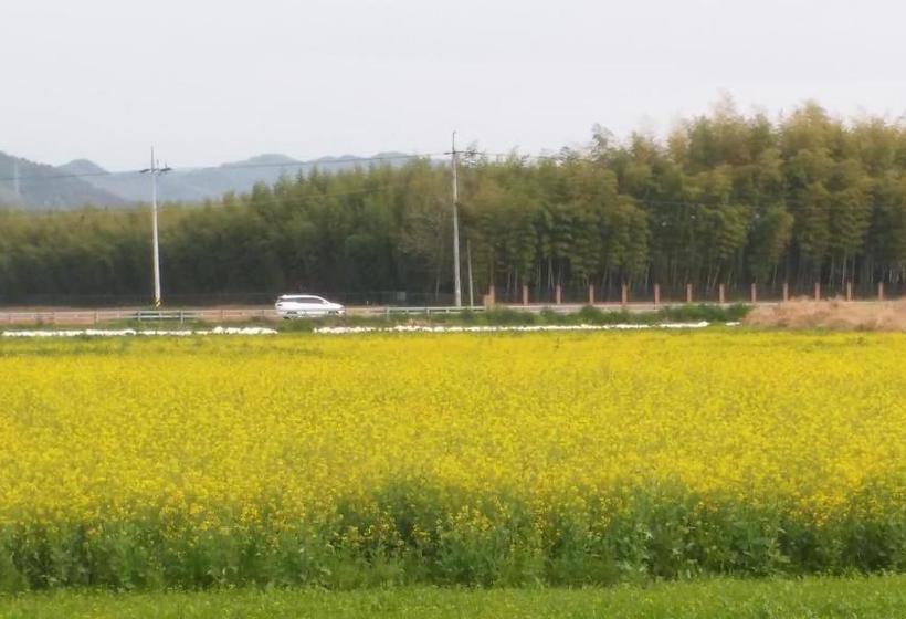 פנסיון Chungaram