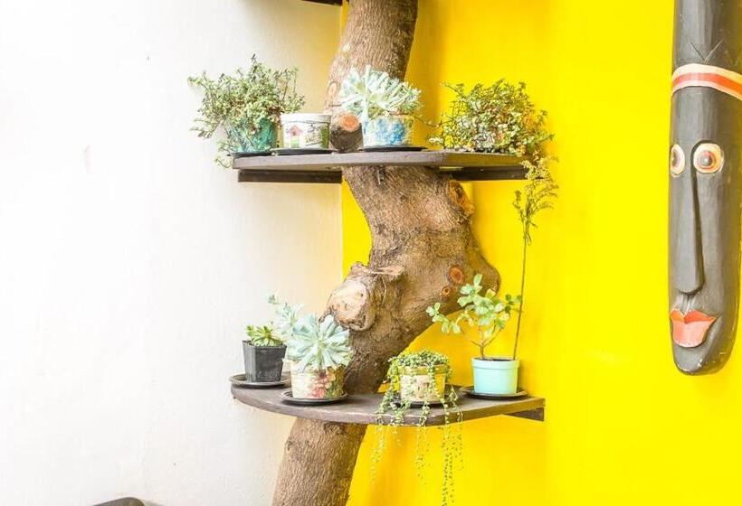 بنسيون Hostal Macondo Inn