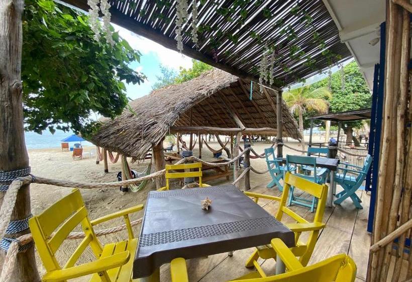 膳宿费 Hostel Beach House