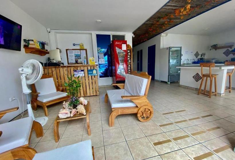 膳宿费 Hostel Beach House