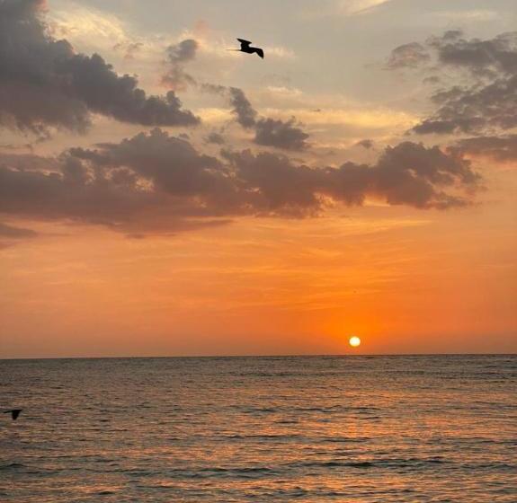 膳宿费 Hostel Beach House