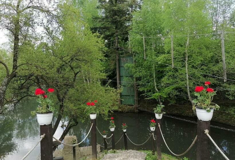 ペンション Motorom