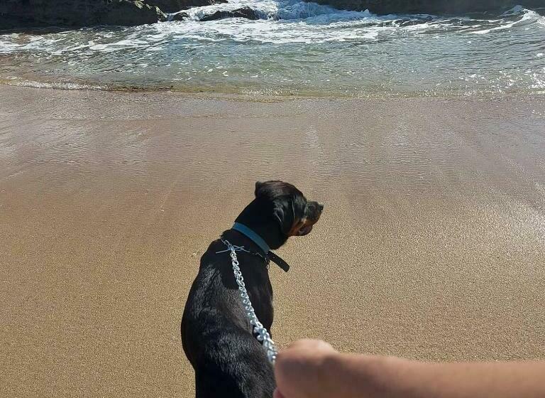 بنسيون Paradise Chalés Beira Mar