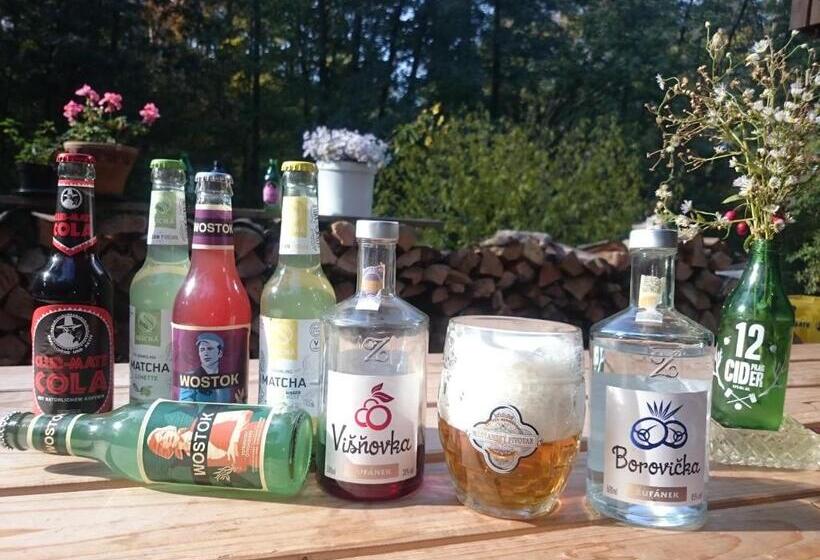 پانسیون Penzion Kůlna