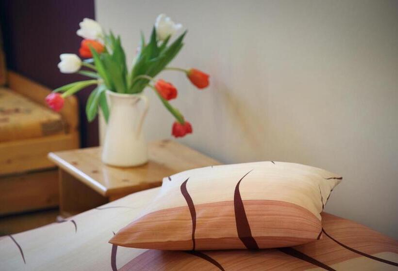 Пансион Penzion Martina