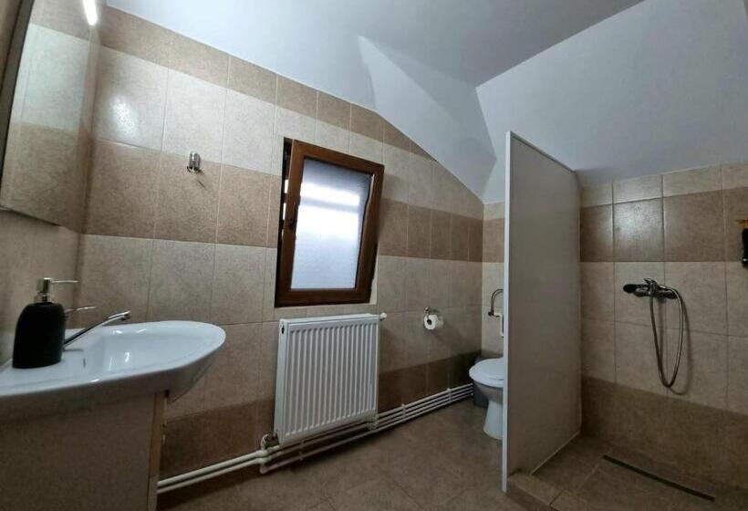 Пансион Popasul Găleșean