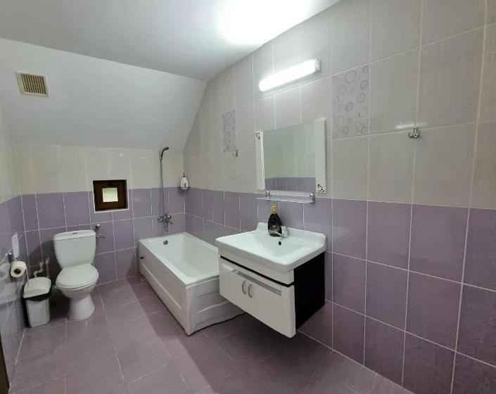 Пансион Popasul Găleșean