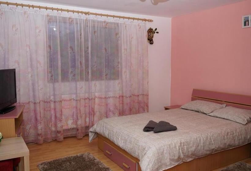 Пансион Popasul Găleșean